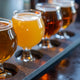 What Is the Difference Between IPA and Beer?