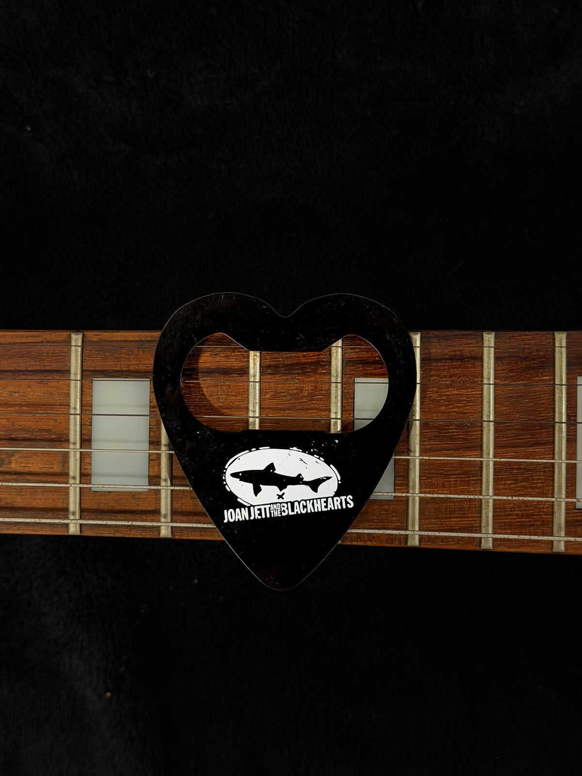 Dogfish Head x Joan Jett Black Lager Beer + Merch Kit