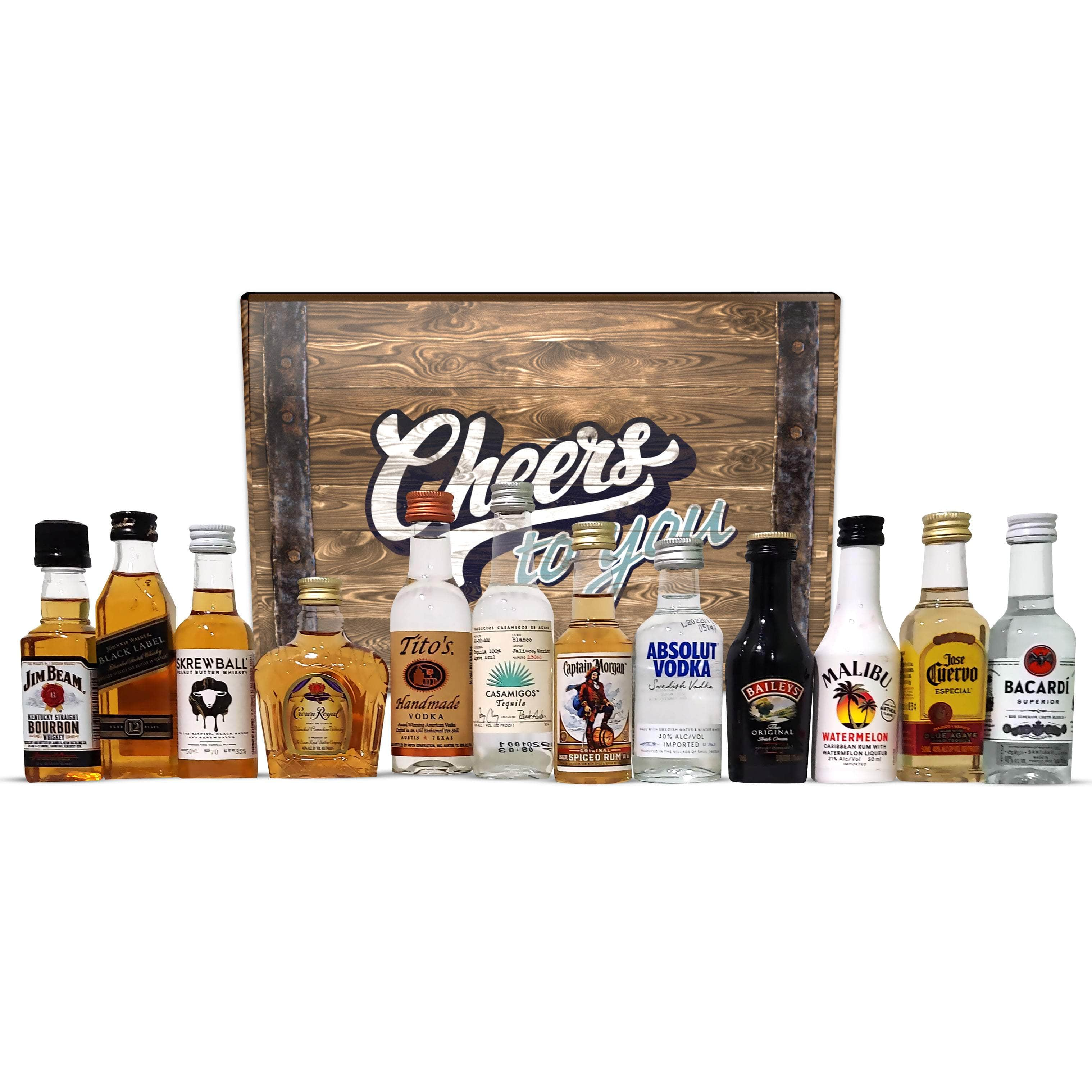 Mini Liquor Bottles Gift Set