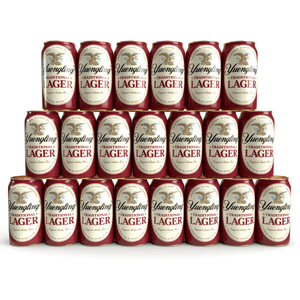 Yuengling Beer - 24 Pack Box